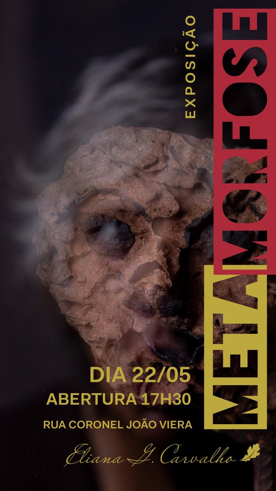 banner da exposição Metamorfose de Eliana Carvalho