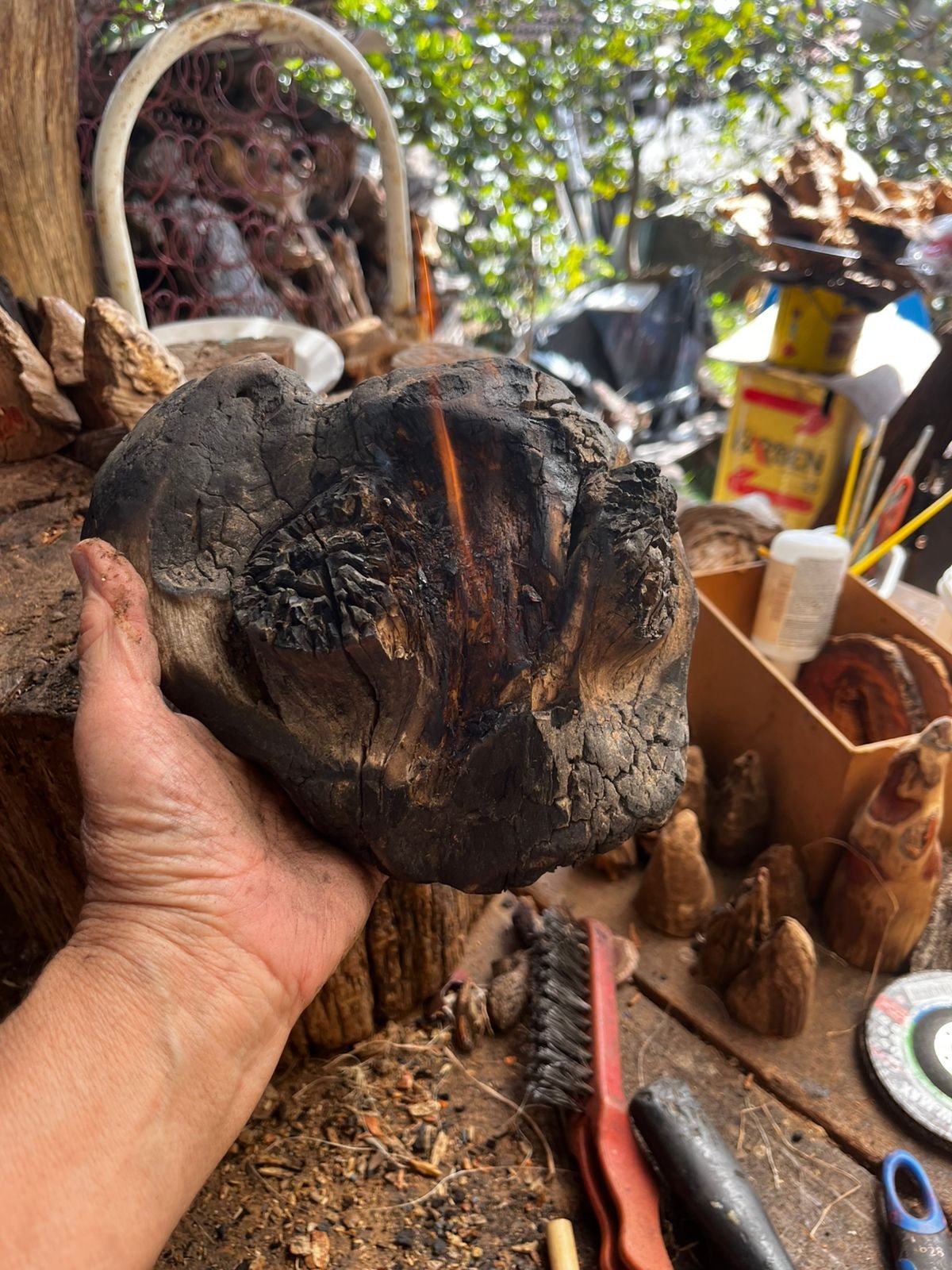 Peça de madeira encontrada sendo examinada no ateliê
