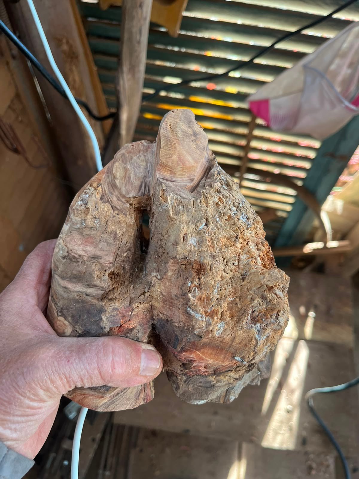 Fragmento de madeira com formas esculpidas sendo segurado no ateliê