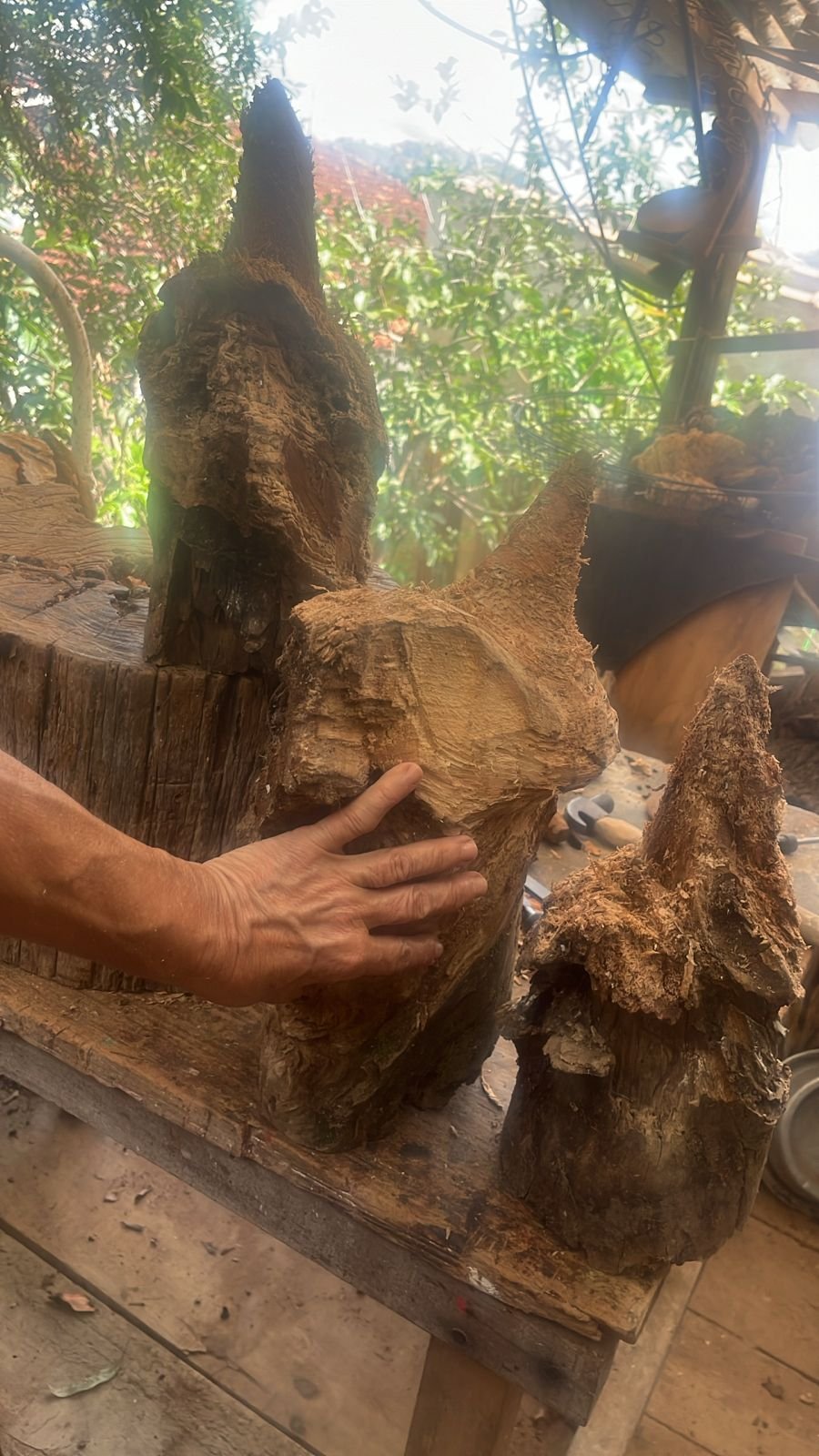 Fragmentos de madeira de formas orgânicas no ateliê de Eliana Carvalho