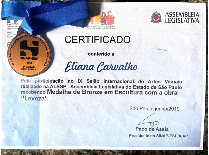 Certificado conferido a Eliana Carvalho pela participação no IX Salão Internacional de Artes Visuais realizado na ALESP